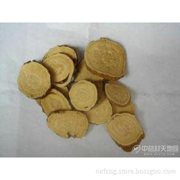 70% Total Matrine Sophora Root Extract With CAS NO. 519-02-